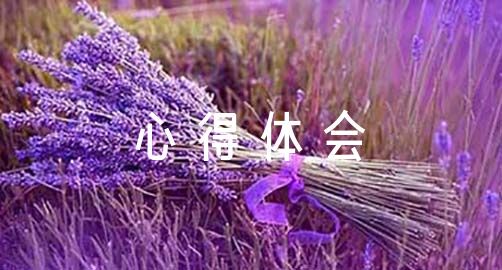 如何在篮球冬令营中加强体能训练？_1
